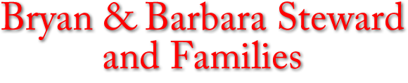 Steward Title